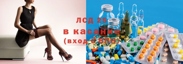 стафф Алзамай