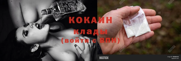стафф Алзамай