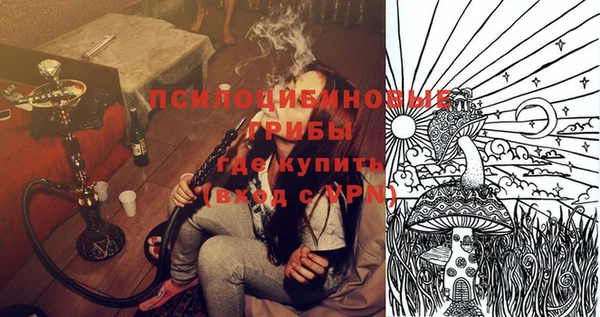 дживик Абаза