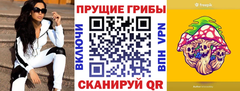 как найти   Бийск  Галлюциногенные грибы ЛСД 